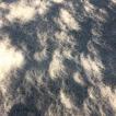 Crescent shadows from the solar eclipse