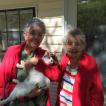 Mom and my great aunt on the back porch with a neighborhood cat