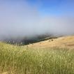 Hiking on Russian Ridge. Lots of fog in the morning meant the views from the ridge weren’t quite as advertised, but it probably kept the temperature in the tolerable range, so I guess it’s a good thing overall.
The geotag is off on this one too, but at least it’s the right side of the bay…